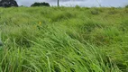 Foto 9 de Fazenda/Sítio à venda, 200000m² em , Monte Alegre