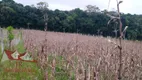Foto 3 de Fazenda/Sítio com 1 Quarto à venda, 9000m² em Colônia Malhada, São José dos Pinhais