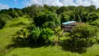 Foto 7 de Fazenda/Sítio com 5 Quartos à venda, 400000m² em Centro, Uruçuca