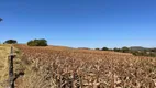 Foto 18 de Fazenda/Sítio à venda em Zona Rural, Leopoldo de Bulhões