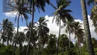 Foto 12 de Fazenda/Sítio com 3 Quartos à venda, 70000m² em Centro, Ceará Mirim