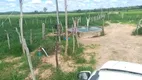 Foto 11 de Fazenda/Sítio à venda, 86956m² em Ibiapora, Mundo Novo