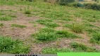 Foto 3 de Lote/Terreno à venda, 500m² em Cidade Satelite, Atibaia