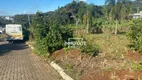 Foto 5 de Lote/Terreno à venda, 564m² em Boa Vista, Lindolfo Collor