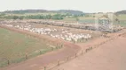 Foto 3 de Fazenda/Sítio à venda, 50500000m² em Zona Rural, Uberlândia