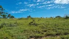 Foto 18 de Fazenda/Sítio com 3 Quartos à venda, 43000000m² em Centro, Perdizes