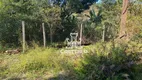 Foto 18 de Fazenda/Sítio com 3 Quartos à venda, 5000m² em Coroados, Londrina