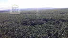 Foto 13 de Fazenda/Sítio à venda, 50500000m² em Zona Rural, Uberlândia