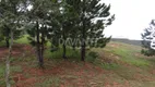 Foto 2 de Lote/Terreno à venda, 1000m² em Condominio Residencial Villa Lombarda, Valinhos