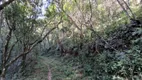 Foto 19 de Fazenda/Sítio com 3 Quartos à venda, 115000m² em Centro, Bocaiúva do Sul