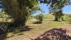 Foto 13 de Fazenda/Sítio com 5 Quartos à venda, 550000m² em Zona Rural, Lagoa Dourada