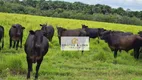 Foto 8 de Fazenda/Sítio com 10 Quartos à venda, 200m² em Centro, Paraíso do Tocantins