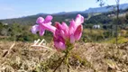 Foto 23 de Lote/Terreno à venda, 1205m² em Casa Branca, Brumadinho