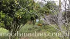 Foto 33 de Fazenda/Sítio com 1 Quarto à venda, 179000m² em Zona Rural, Marmelópolis