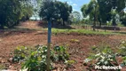 Foto 3 de Lote/Terreno à venda, 1640m² em Jardim Marajo, São José do Rio Preto