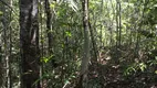 Foto 5 de Fazenda/Sítio à venda, 51000m² em Zona Rural, Pirenópolis