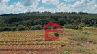 Foto 39 de Fazenda/Sítio com 4 Quartos à venda, 600m² em Sebandilha, Mairinque
