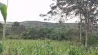 Foto 11 de Fazenda/Sítio com 1 Quarto à venda, 188m² em Riacho da Guia, Alagoinhas