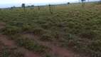 Foto 31 de Fazenda/Sítio à venda em Zona Rural, Pontes E Lacerda