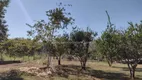 Foto 19 de Fazenda/Sítio à venda em Zona Rural, Santo Antônio do Leverger