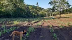 Foto 17 de Fazenda/Sítio com 3 Quartos à venda, 475m² em Centro, Nioaque