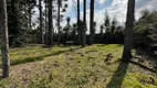 Foto 16 de Lote/Terreno à venda, 600m² em Vale das Colinas, Gramado