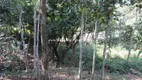 Foto 24 de Fazenda/Sítio com 1 Quarto à venda, 7993m² em Agro Brasil, Cachoeiras de Macacu