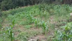 Foto 10 de Fazenda/Sítio com 1 Quarto à venda, 50000m² em Campo Grande, Rio de Janeiro