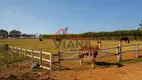 Foto 3 de Fazenda/Sítio com 4 Quartos à venda, 484000m² em Centro, Quadra