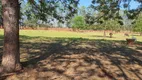 Foto 16 de Fazenda/Sítio com 3 Quartos à venda, 80m² em Area Rural de Tatui, Tatuí