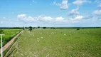 Foto 7 de Fazenda/Sítio com 4 Quartos à venda, 1110000m² em Centro, Água Branca