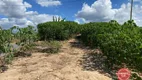 Foto 10 de Lote/Terreno à venda, 1000m² em Condomínio das Águas Claras, Brumadinho