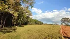 Foto 4 de Lote/Terreno à venda, 20000m² em Centro, São Gonçalo do Pará