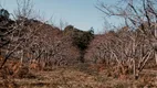 Foto 8 de Lote/Terreno à venda, 800m² em Mato Queimado, Gramado