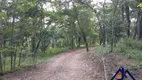 Foto 14 de Fazenda/Sítio com 4 Quartos à venda, 24000m² em Centro, Florestal