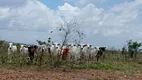 Foto 20 de Fazenda/Sítio com 4 Quartos à venda, 400000m² em Zona Rural, Macaíba