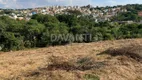 Foto 3 de Lote/Terreno à venda, 608m² em Vila João XXIII, Vinhedo