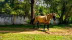 Foto 34 de Fazenda/Sítio com 19 Quartos à venda, 121000m² em Centro, Juquitiba