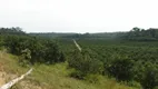 Foto 8 de Fazenda/Sítio à venda, 8084990m² em Zona Rural, Rio Preto da Eva