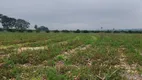 Foto 5 de Fazenda/Sítio à venda, 86000m² em Chacaras Benvenuto IV, Artur Nogueira