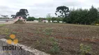 Foto 20 de Fazenda/Sítio com 3 Quartos à venda, 450m² em Centro, Lapa