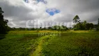 Foto 9 de Fazenda/Sítio à venda, 91448m² em Area Rural de Fazenda Rio Grande, Fazenda Rio Grande