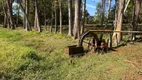 Foto 6 de Fazenda/Sítio com 1 Quarto à venda, 1m² em Zona Rural, Torrinha