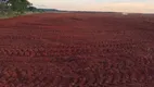 Foto 6 de Fazenda/Sítio à venda, 4300000m² em Zona Rural, Bambuí