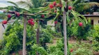 Foto 15 de Fazenda/Sítio com 4 Quartos à venda, 286m² em João Jabour, Salto