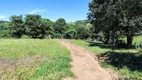 Foto 17 de Fazenda/Sítio com 3 Quartos à venda, 100m² em Zona Rural, Caldazinha