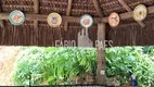 Foto 17 de Fazenda/Sítio com 3 Quartos à venda, 3100m² em Papucaia, Cachoeiras de Macacu