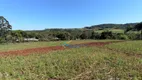 Foto 11 de Fazenda/Sítio com 3 Quartos à venda, 65000m² em , Santa Tereza do Oeste