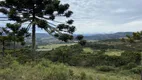 Foto 19 de Fazenda/Sítio à venda, 240000m² em Perico, São Joaquim