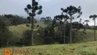 Foto 7 de Lote/Terreno à venda, 120000m² em , Rio Rufino